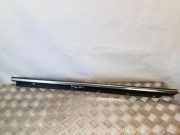 Türfensterleiste hinten links