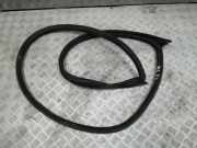 Türgummi links vorne Peugeot RCZ ()