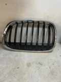 Kühlergrill komplett BMW X1 (F48) 7383363