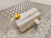 Ausgleichsbehälter RENAULT KOLEOS I (HY_) 2.5 4x4 (HY0C, HY0N) 2243061050