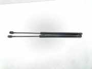 Heckklappe Gasdruckfeder links BMW 3 Touring (E91) 320 d 011499