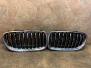 Vorderer oberer Gitter BMW 5 (F10) 530 d 7336478