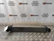 Ladeluftkühler Mini Mini (F56) 275127707