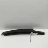 Vertikale Verkleidung an der hinteren rechten Tür BMW X6(G06) xDrive 30 d 7453850