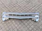 Vorderer oberer Gitter MERCEDES-BENZ B (W246, W242) B 180 CDI (246.200) 300100010