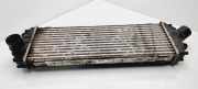 Ladeluftkühler NISSAN PRIMASTAR Furgon (X83) 2.0 dCi 115 8200411160C