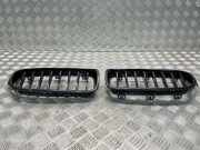 Vorderer oberer Gitter BMW 3 (F30, F80) 330 d xDrive 7295436