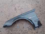 Kotflügel vorne links