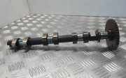 Auslassnockenwelle JAGUAR X-TYPE (X400) 2.1 V6 1X4E6A269CA