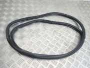 Dichtung für Koffer-/Laderaumklappe BMW 1er (E81) 7190345