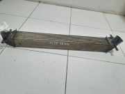 Ladeluftkühler Skoda Rapid (NH) 6R0145805