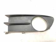 Gitter vorne unten RENAULT LAGUNA II (BG0/1_) 1.9 dCi G000009745