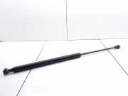 Heckklappe Gasdruckfeder links RENAULT SCÉNIC I (JA0/1_) 1.9 dTi (JA0N) 7700430022