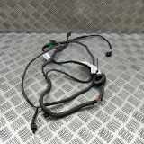 Kabelbaum Hinteren Parksensoren VW CADDY IV Furgon (SAA, SAH) 2.0 TDI 2K5971541M