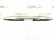 Kennzeichenleuchte Mercedes-Benz R-Klasse (W251) 2517400593