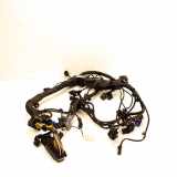 Kabel Motor BMW X1 (E84) 8517583