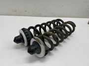 Feder rechts hinten BMW 3er (G20, G28, G80)