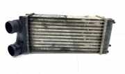 Ladeluftkühler CITROËN C4 II (B7) 1.6 HDi 110 8769238 IA1401