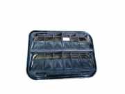 Ziergitter Nissan Almera Tino (V10)