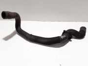 Schlauch Kühlung PEUGEOT 308 III (FB_, FH_, FP_, F3_, FM_) PureTech 110 (FPHNPL)