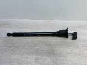 Türanschlag hinten links PORSCHE PANAMERA (971) 2.9 4S 971839179A