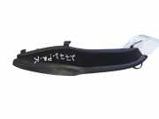 Zierleiste Windschutzscheibe Frontscheibe RENAULT LAGUNA III (BT0/1) 2.0 dCi (BT01, BT09, BT12, BT1S) 668630005R