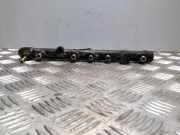 Einspritzleiste Renault Grand Scenic II (JM) 0445214065