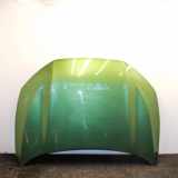 Motorhaube FORD KUGA III (DFK) 1.5 EcoBlue
