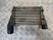 Ladeluftkühler VW Passat B6 (3C2)