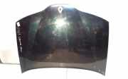 Motorhaube RENAULT LAGUNA II (BG0/1_) 2.2 dCi (BG0F)