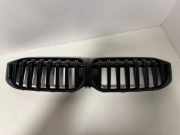 Vorderer oberer Gitter BMW 3 (G20, G28) 3 (G20) 330 i 51749465188