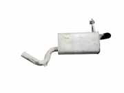 Endschalldämpfer Citroen C5 III (RD)