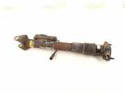 Stoßdämpfer hinten links MERCEDES-BENZ R (W251, V251) R 320 CDI 4-matic (251.022, 251.122) 2513200931
