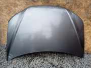 Motorhaube HYUNDAI SANTA FÉ II (CM) 2.2 CRDi