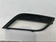 Gitter vorne unten SEAT TOLEDO IV (KG3) 1.2 6JA807682