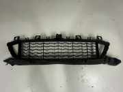 Gitter vorne unten BMW X1 (F48) xDrive 25 d 8059888