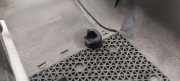 VERKLEIDUNG LENKSÄULE LENKSTOCK SKODA OCTAVIA I (1U2) 1.9 SDI 8L1953516