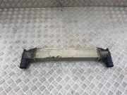Ladeluftkühler VW SHARAN (7M8, 7M9, 7M6) 1.9 TDI 95VW9L440AA