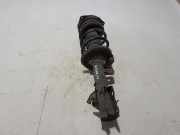 Stoßdämpfer vorne links NISSAN NV200 Furgon/Estate 1.5 dci (M20, M20M) E4303BJ00A