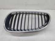 Vorderer oberer Gitter BMW 5 Touring (E61) 530 d 7065701