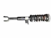 Stoßdämpfer vorne links BMW 5 (F10) 518 d 31306863661