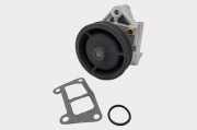 Wasserpumpe Fiat Punto (176) 46437916