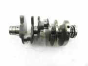 Kurbelwelle AUDI Q7 (4L) 3.0 TDI quattro 059AE
