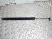 Heckklappe Gasdruckfeder links CHRYSLER VOYAGER / GRAND VOYAGER III (GS) 2.5 TD 04675806AB