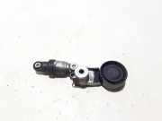 Riemenspanner RENAULT ESPACE V (JR_) 2.0 dCi (JK02, JK03) 117501769R