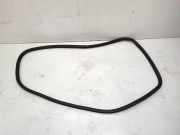 Türdichtung Porsche Cayenne 2 (92A)