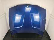 Motorhaube BMW X3 (E83) 41003449411