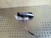 Türaußengriff hinten links VW PASSAT B7 (362) 2.0 TDI 3C0837885J