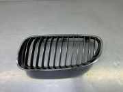 Vorderer oberer Gitter BMW 3 Cabrio (E93) 335 i 7254967