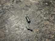 Handschuhfach Mercedes-Benz S-Klasse (W140) 1406890914